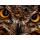 Acer Predator XB273UX2BMIIPRX - 1527842 - zdjęcie 14